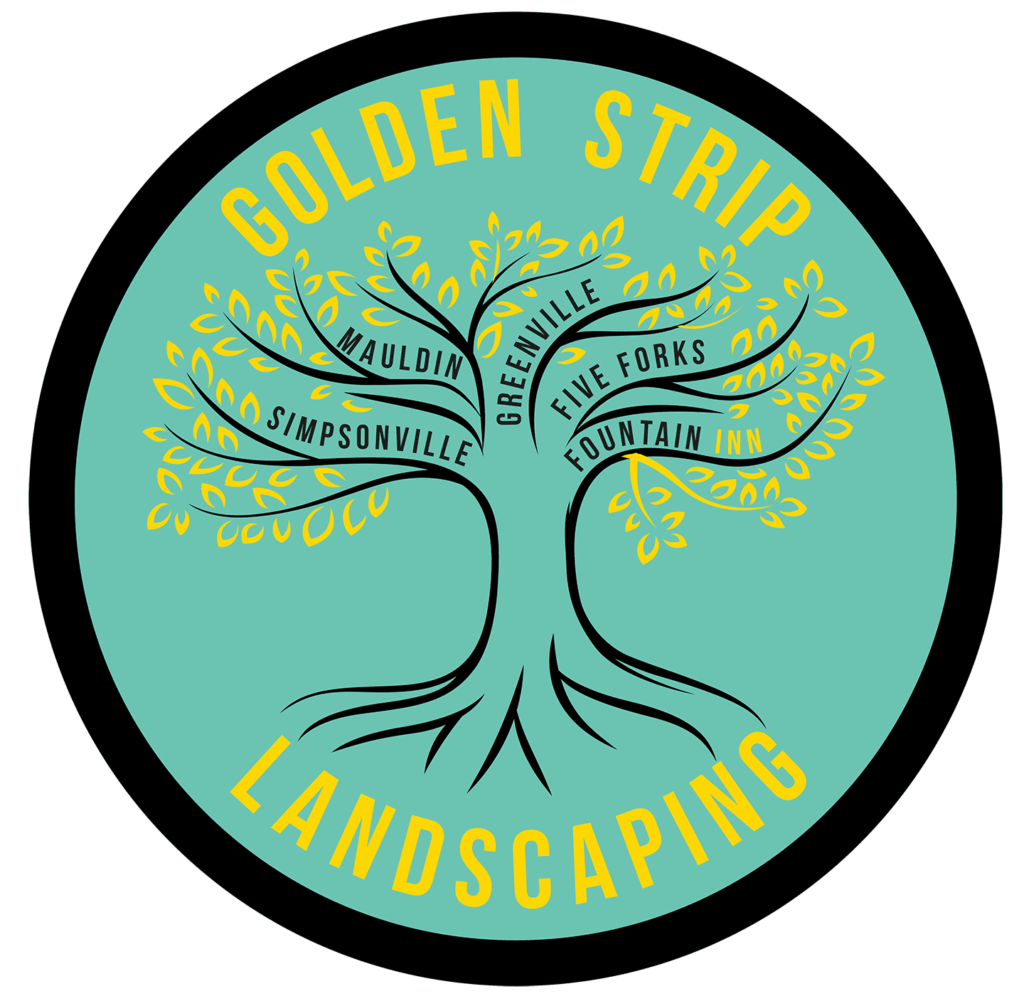 Golden Strip Logo Hero Section