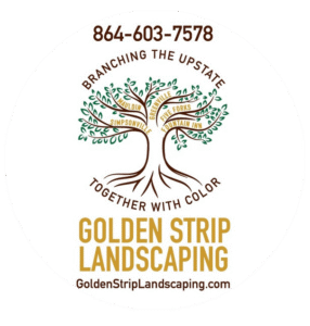 Golden Strip Logo